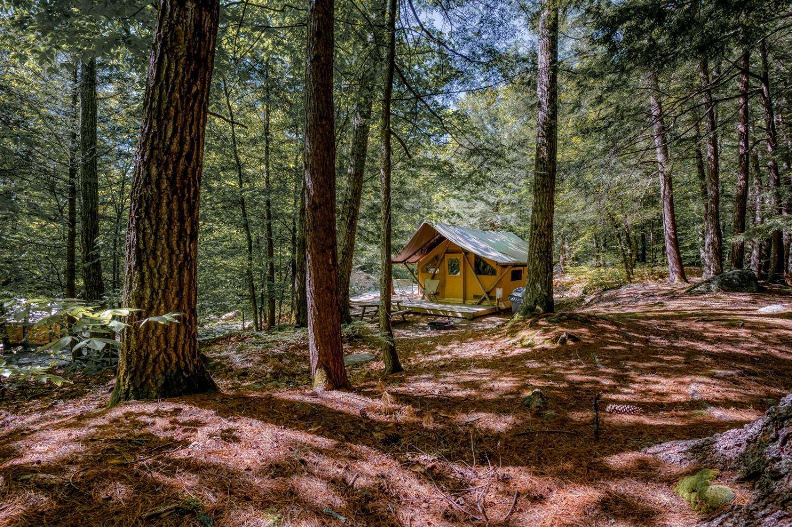 Huttopia White Mountains Albany ภายนอก รูปภาพ