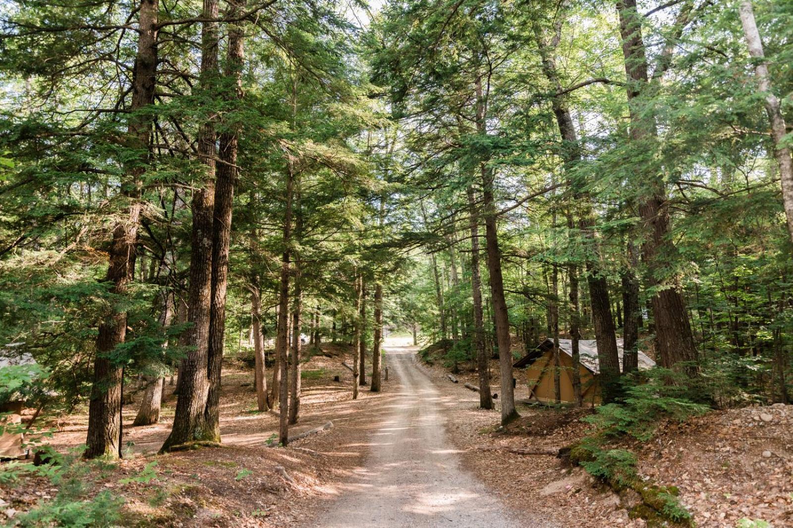 Huttopia White Mountains Albany ภายนอก รูปภาพ